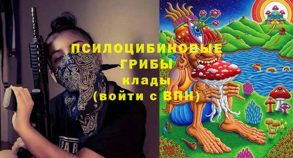 молекула духа Вязьма